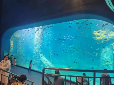 Precio de fábrica del panel del acuario de acrílico